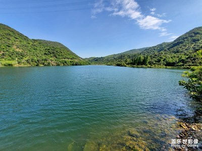 夏天已经到