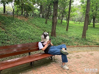 小旅行