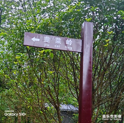 中国十大“非著名”山峰之榜首-韭菜岭