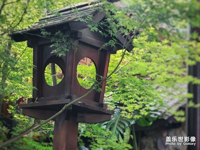 闲庭——安居在闹市中