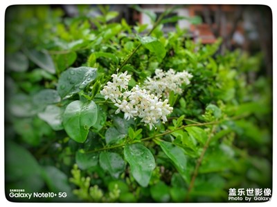 雨润泸定