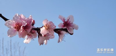 春