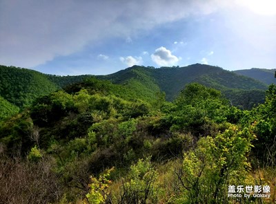 夏日青山