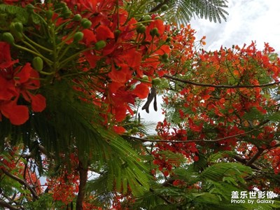 岁月匆匆忙忙，但好日子过的红红火火