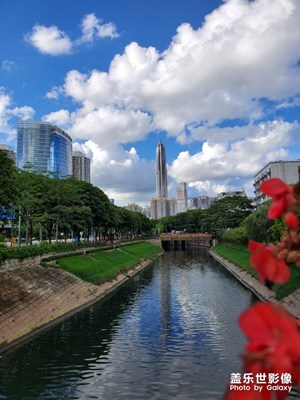 深圳天气好到爆炸