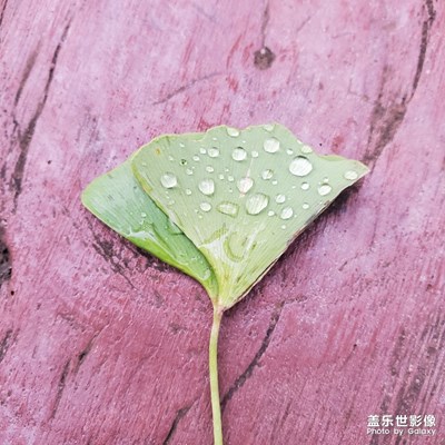晨练过后的早餐