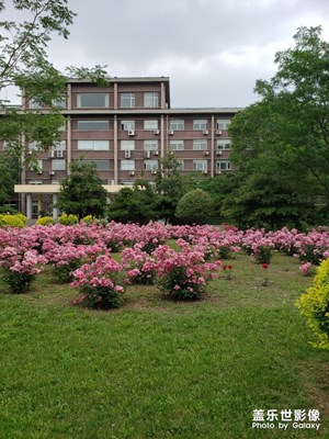 花美楼净天蓝