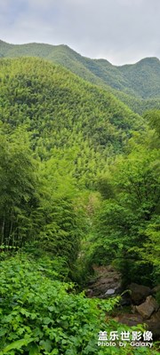 安吉匆匆一日游