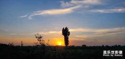 今日份甜瓜与西红柿，还有晚霞