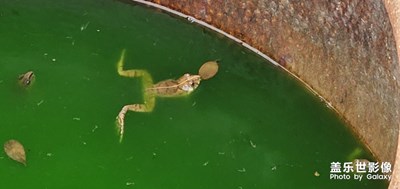 【光影生活】+N10+镜头下的花花草草