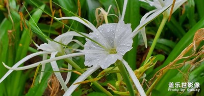风雨无阻，健走依旧
