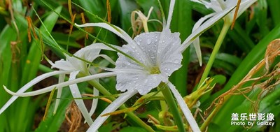 风雨无阻，健走依旧