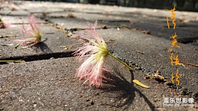note9随手拍