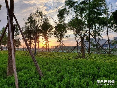 晚霞