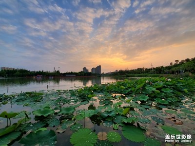 雨后亦奇