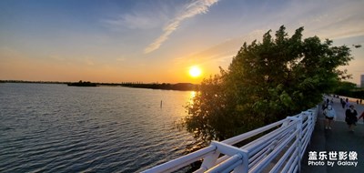 【夏日色彩】+阳光明媚