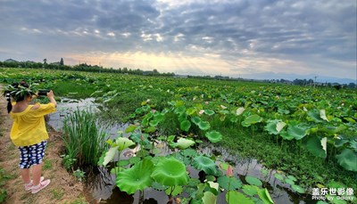 夏至溜达……