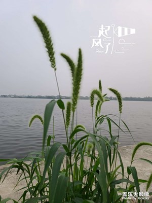 家门口的风景