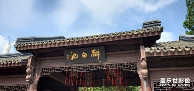 【盛夏时光】＋ 醉白池