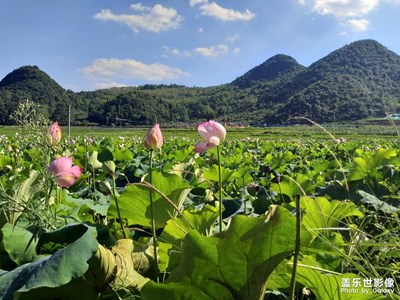 三星拍照依旧不错