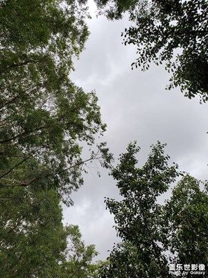 【与世界相遇】+ 阵雨