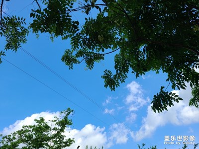 清晨