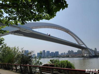 【角度与视觉】+上海卢浦大桥