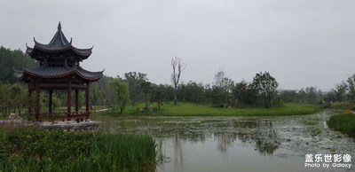 漳泽公园美景