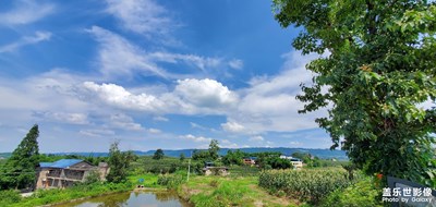 20年不平凡、祝愿所有学子考入自己理想的校园