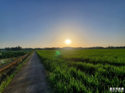 【角度与视觉】+夏日情节