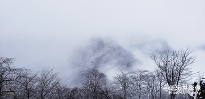 随手一拍