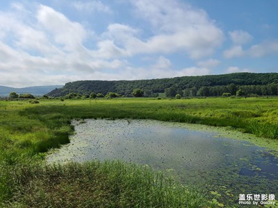 雁鸣湖湿地