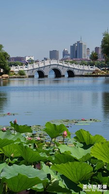 风景