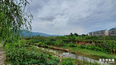 美丽乡村