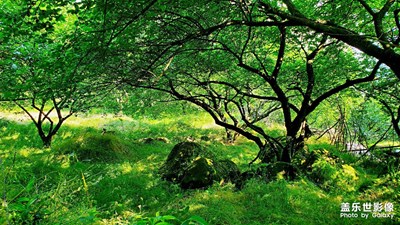 大坪山风景随拍