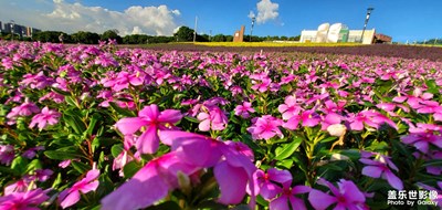 【城市相册】+深圳掠影