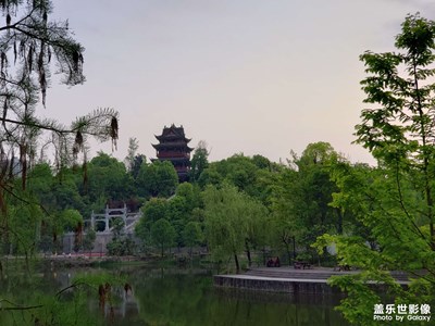 公园景色