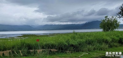 拉市海湿地公园