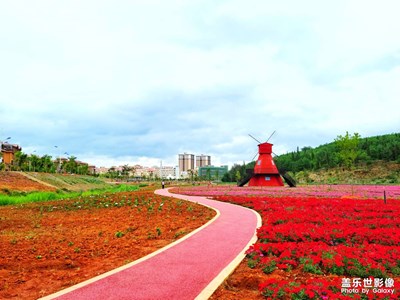 【记录此刻】+城市风景