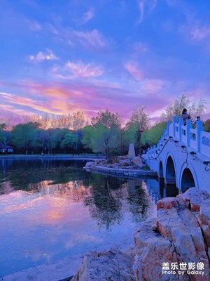 拍一张