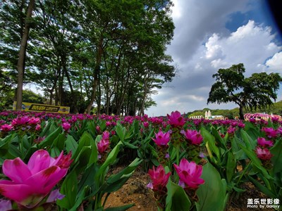 东莞-松山湖梦幻百花洲