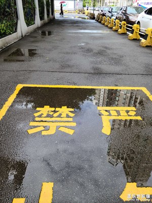 s20+的随手拍