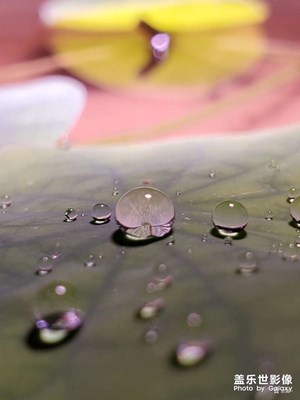 拍拍小水珠