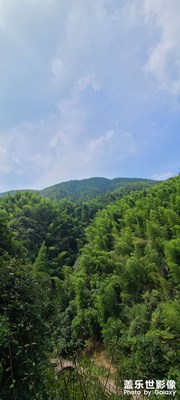 莫干山匆匆一游