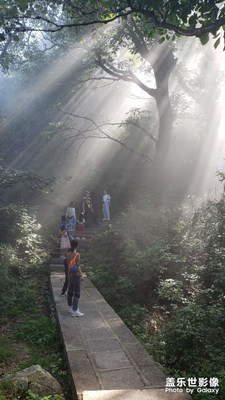 没错，只是让人艳羡