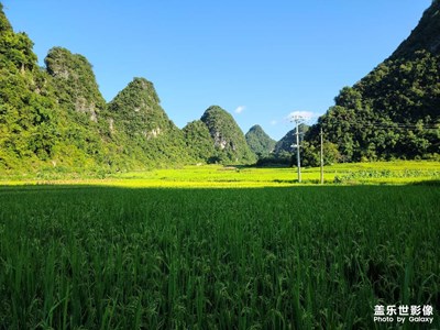 青山绿水