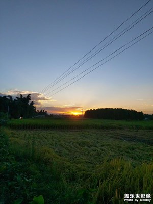 夕阳无限好