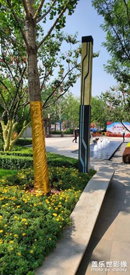 风景