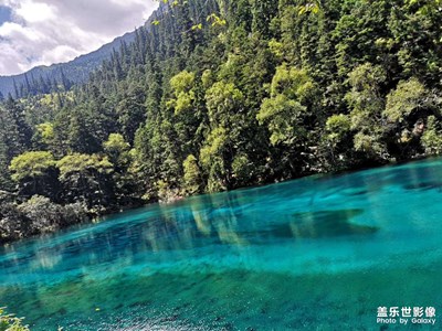 【身边小景】+公园随拍