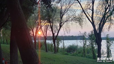 夕阳秋水问香樟